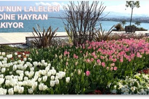 Ordu’da Rengarenk Görsel Şölen